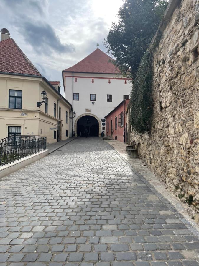Grich Witch Apartment Zagreb Bagian luar foto
