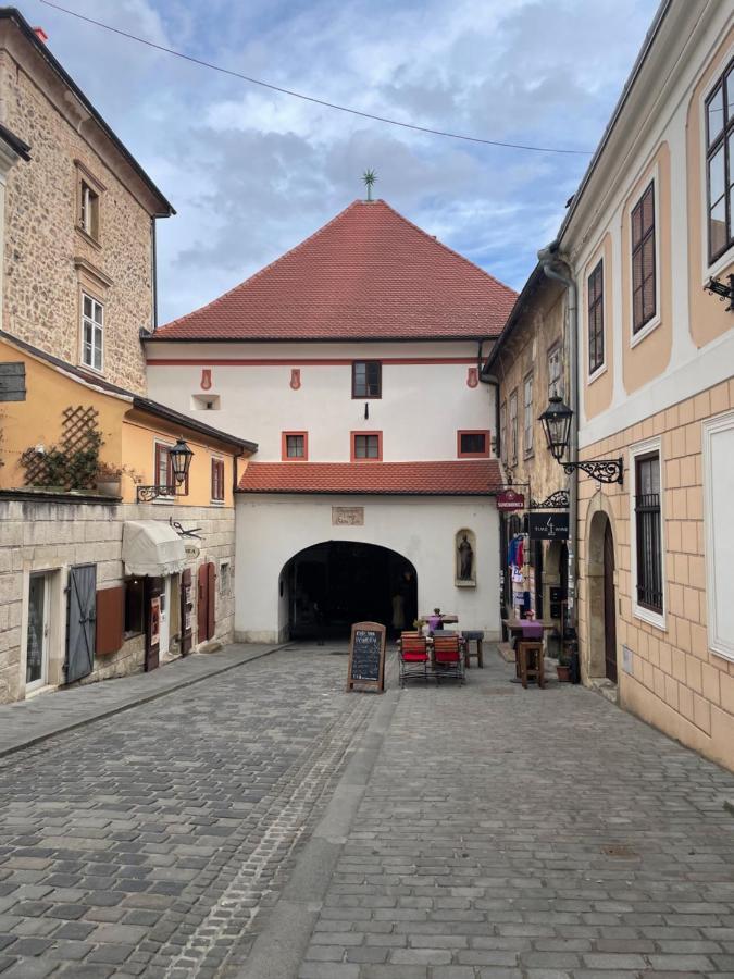 Grich Witch Apartment Zagreb Bagian luar foto